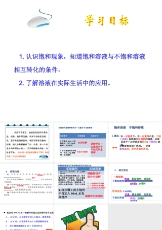 【倍速课时学练】2014九年级化学上册《3.1 溶液》课件2 （新版）鲁教版
