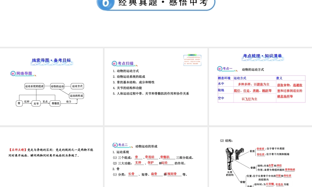 【全程复习方略】2013版中考生物 第15章 动物的运动配套课件 北师大版