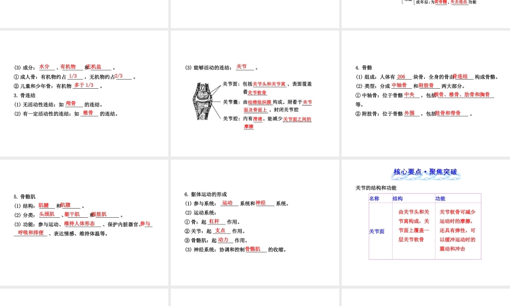 【全程复习方略】2013版中考生物 第15章 动物的运动配套课件 北师大版