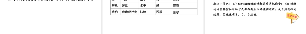 【全程复习方略】2013版中考生物 第15章 动物的运动配套课件 北师大版