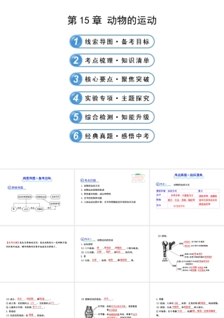 【全程复习方略】2013版中考生物 第15章 动物的运动配套课件 北师大版
