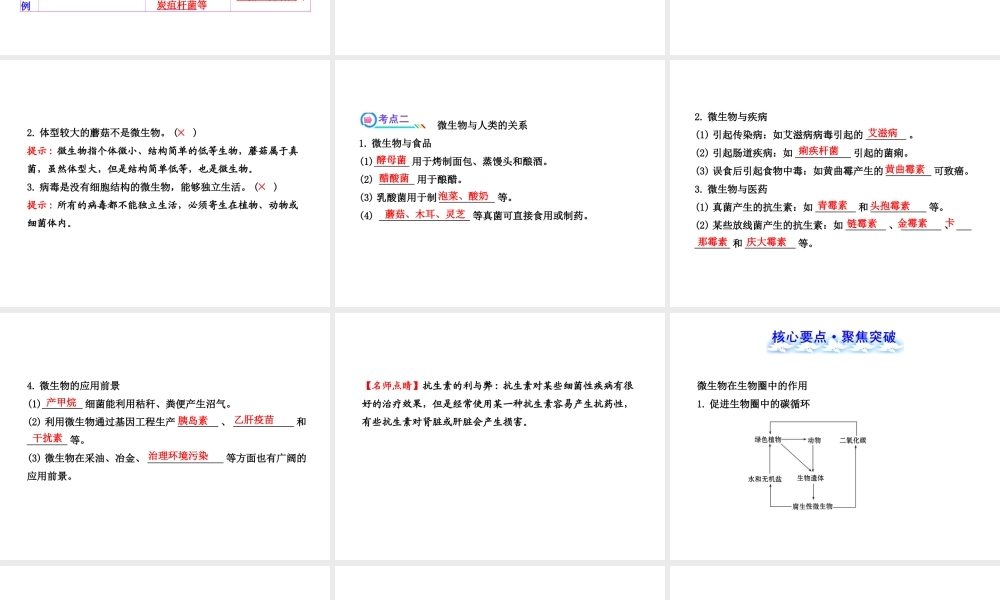 【全程复习方略】2013版中考生物 第18章 生物圈中的微生物配套课件 北师大版