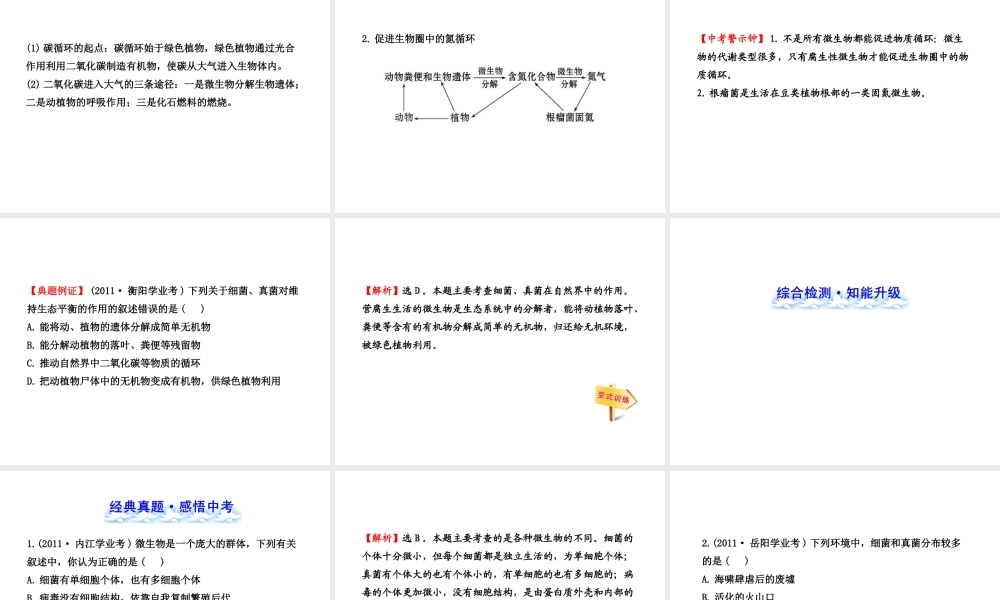 【全程复习方略】2013版中考生物 第18章 生物圈中的微生物配套课件 北师大版