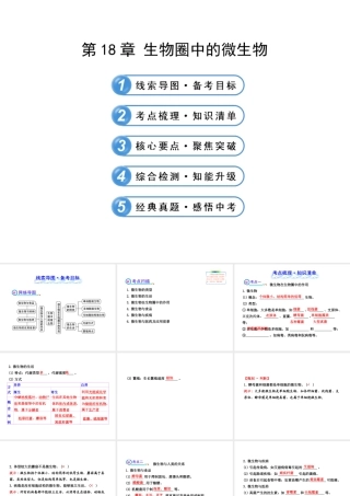 【全程复习方略】2013版中考生物 第18章 生物圈中的微生物配套课件 北师大版