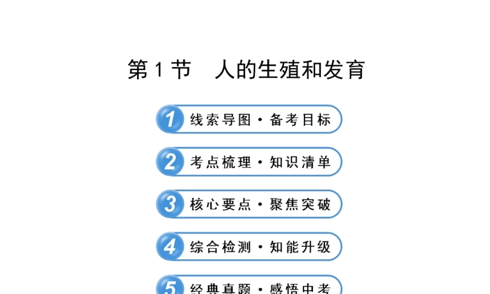 【全程复习方略】2013版中考生物 第19章 生殖和发育 19.1 人的生殖和发育配套课件 北师大版
