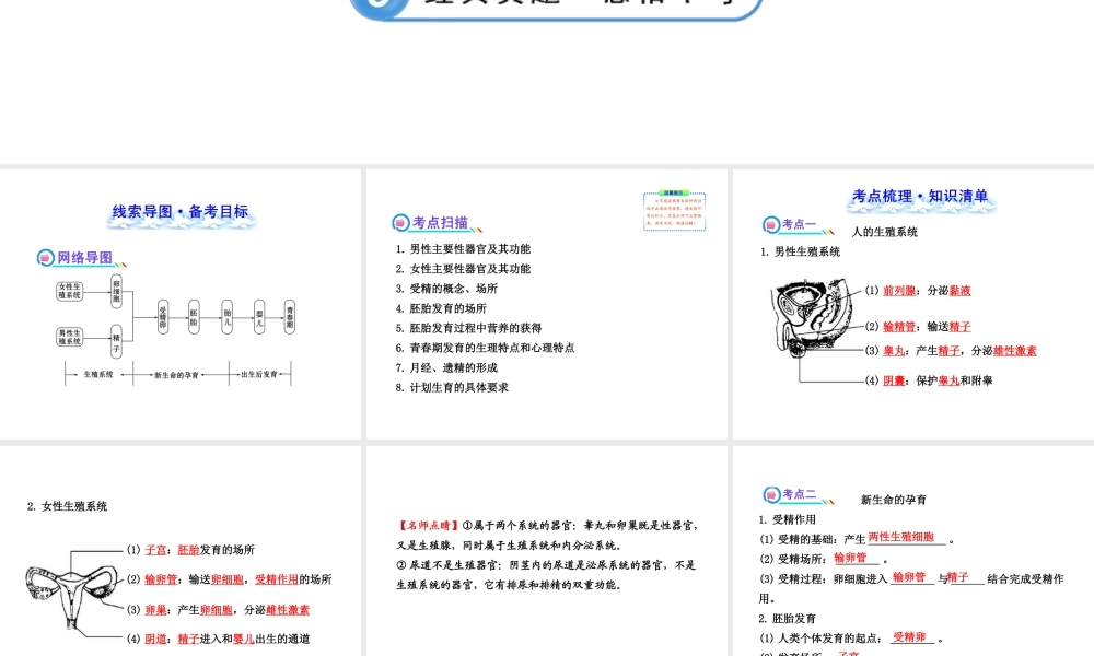 【全程复习方略】2013版中考生物 第19章 生殖和发育 19.1 人的生殖和发育配套课件 北师大版