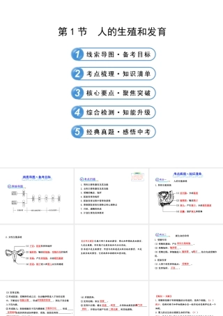 【全程复习方略】2013版中考生物 第19章 生殖和发育 19.1 人的生殖和发育配套课件 北师大版