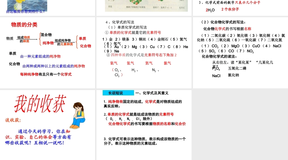 【倍速课时学练】2014九年级化学上册《4.2 物质组成的表示》课件1 （新版）鲁教版
