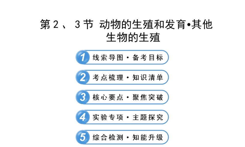 【全程复习方略】2013版中考生物 第19章 生殖和发育 19.2、3 动物的生殖和发育 其他生物的生殖配套课件 北师大版