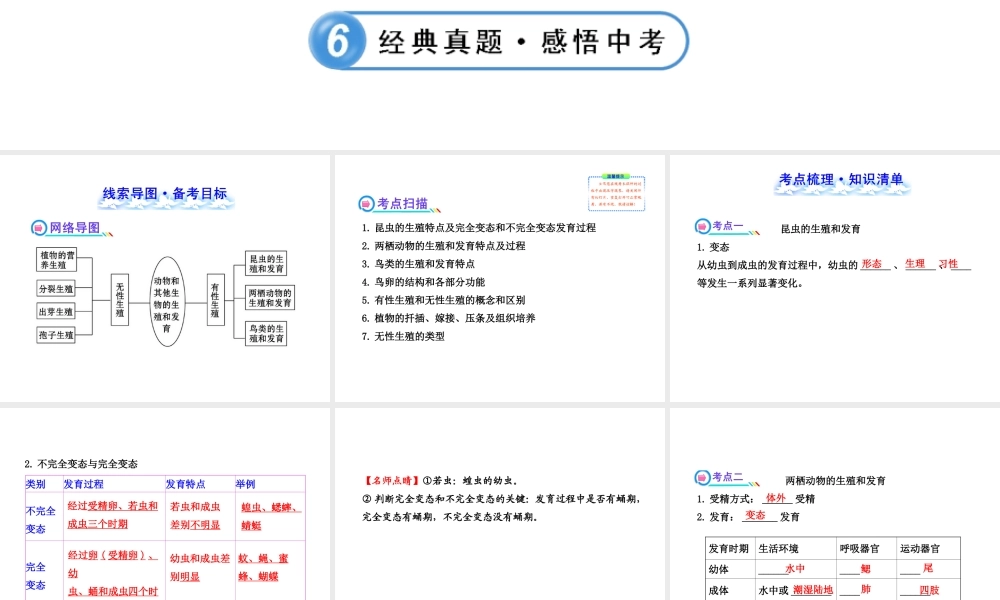 【全程复习方略】2013版中考生物 第19章 生殖和发育 19.2、3 动物的生殖和发育 其他生物的生殖配套课件 北师大版
