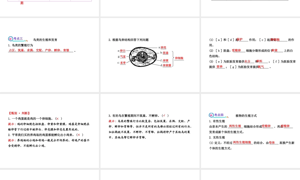 【全程复习方略】2013版中考生物 第19章 生殖和发育 19.2、3 动物的生殖和发育 其他生物的生殖配套课件 北师大版