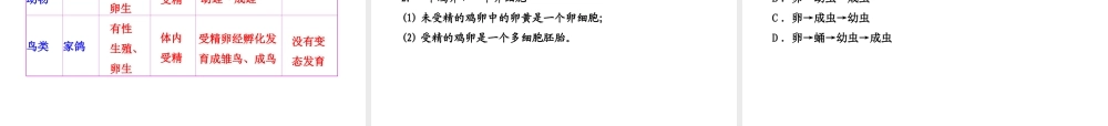 【全程复习方略】2013版中考生物 第19章 生殖和发育 19.2、3 动物的生殖和发育 其他生物的生殖配套课件 北师大版
