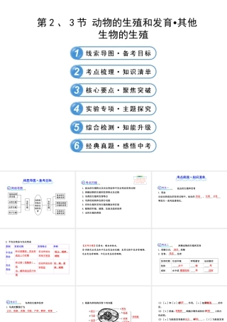 【全程复习方略】2013版中考生物 第19章 生殖和发育 19.2、3 动物的生殖和发育 其他生物的生殖配套课件 北师大版