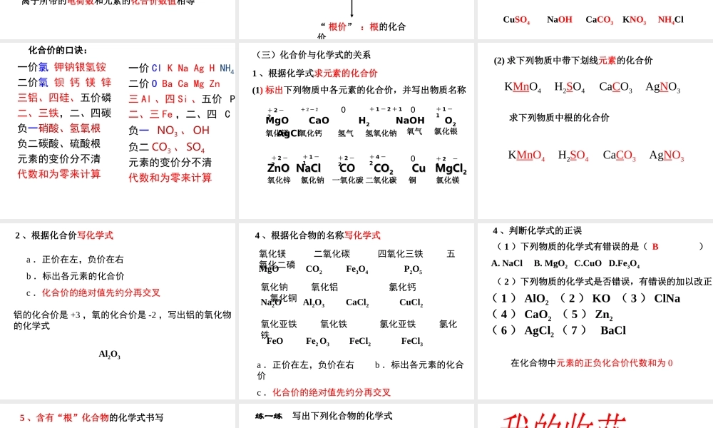 【倍速课时学练】2014九年级化学上册《4.2 物质组成的表示》课件2 （新版）鲁教版