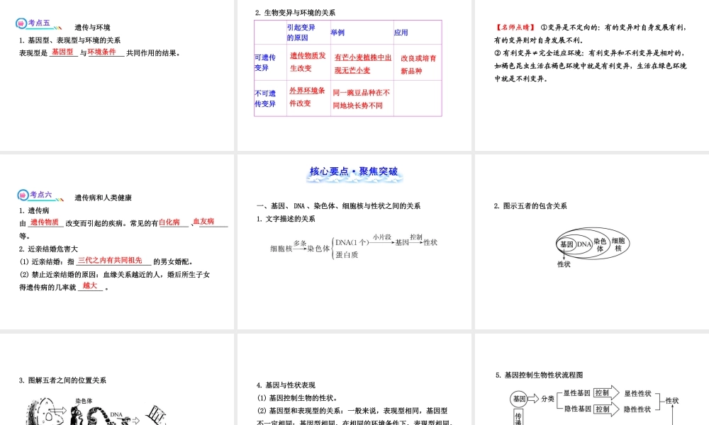 【全程复习方略】2013版中考生物 第20章 生物的遗传和变异配套课件 北师大版