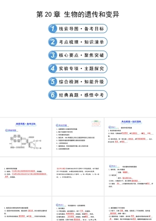 【全程复习方略】2013版中考生物 第20章 生物的遗传和变异配套课件 北师大版