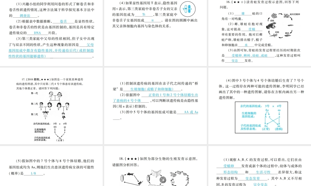 PK中考（江西专用）中考生物 专项提升突破篇 专项六 生物的生殖发育、遗传变异和进化课件-人教版初中九年级全册生物课件