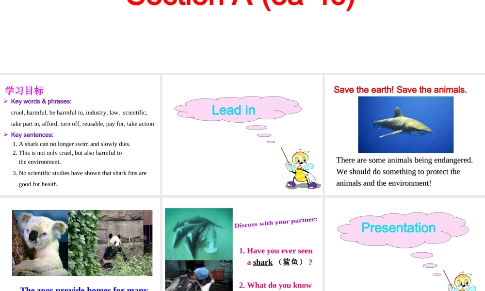 Unit 13 Section A (3a-4c)课件