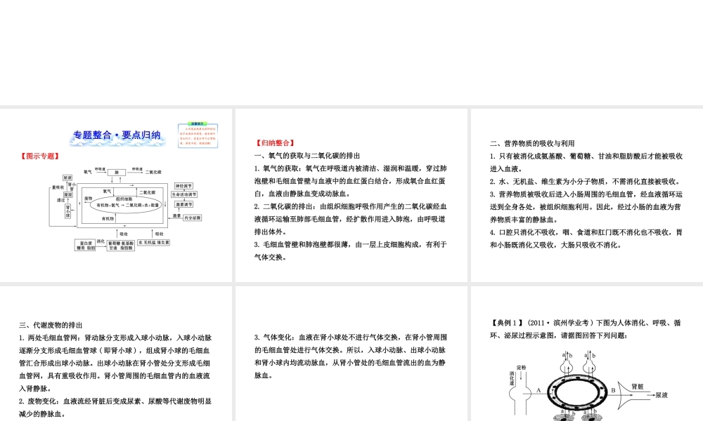 【全程复习方略】2013版中考生物 专题三 消化、呼吸、循环、泌尿、调节配套课件 北师大版