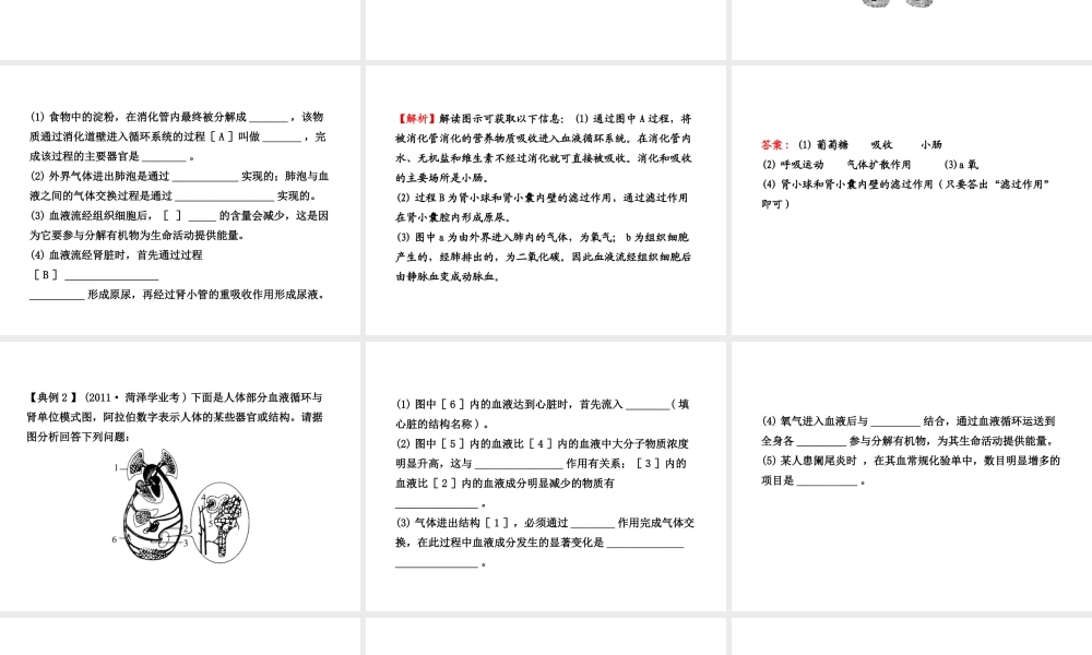 【全程复习方略】2013版中考生物 专题三 消化、呼吸、循环、泌尿、调节配套课件 北师大版