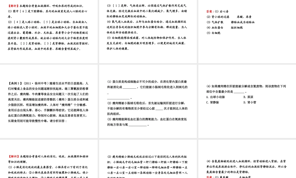 【全程复习方略】2013版中考生物 专题三 消化、呼吸、循环、泌尿、调节配套课件 北师大版