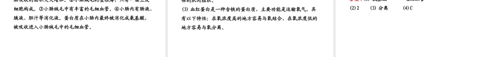 【全程复习方略】2013版中考生物 专题三 消化、呼吸、循环、泌尿、调节配套课件 北师大版