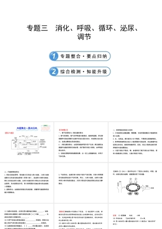 【全程复习方略】2013版中考生物 专题三 消化、呼吸、循环、泌尿、调节配套课件 北师大版