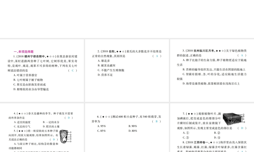 PK中考（江西专用）中考生物 专项提升突破篇 专项三 生物圈中的绿色植物课件-人教版初中九年级全册生物课件