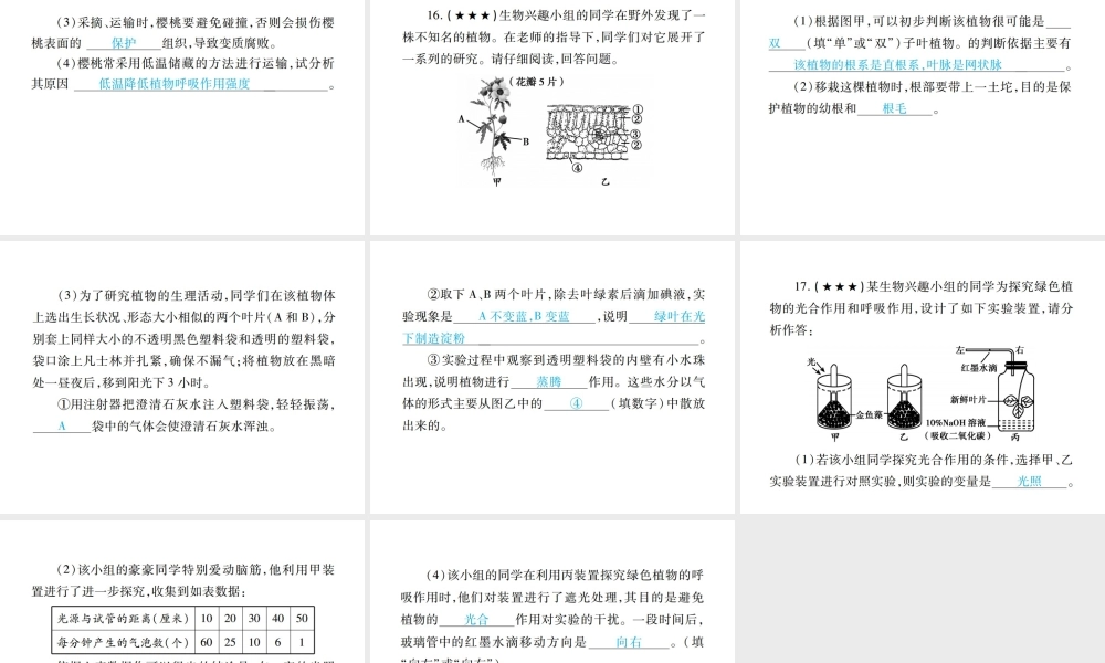 PK中考（江西专用）中考生物 专项提升突破篇 专项三 生物圈中的绿色植物课件-人教版初中九年级全册生物课件