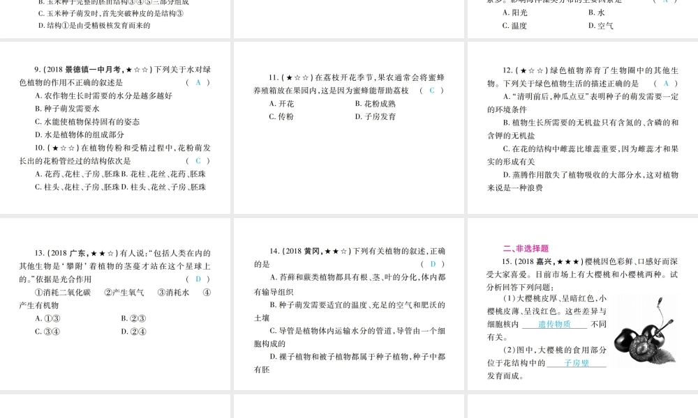 PK中考（江西专用）中考生物 专项提升突破篇 专项三 生物圈中的绿色植物课件-人教级全册生物课件