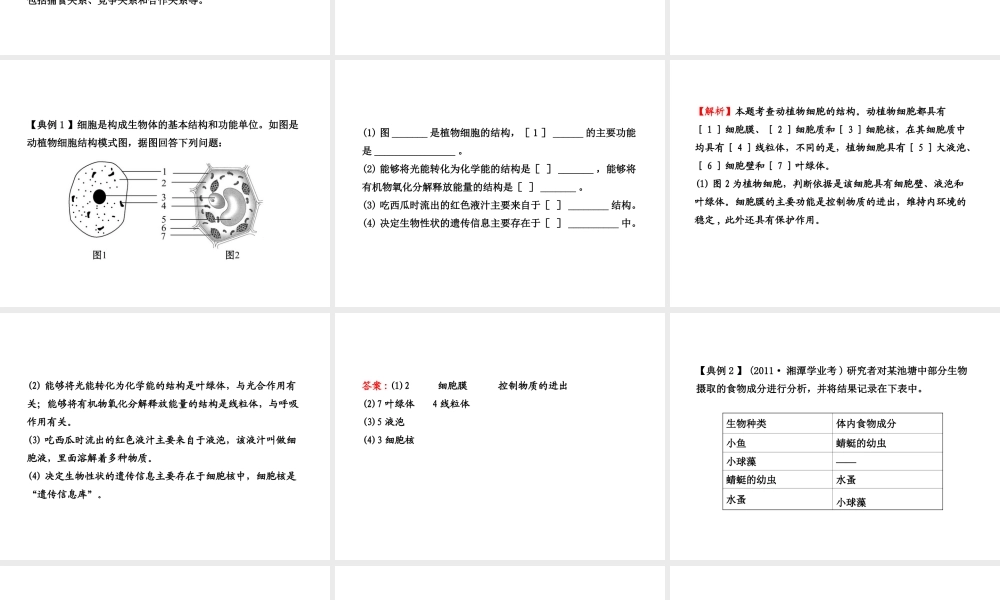 【全程复习方略】2013版中考生物 专题一 细胞、生物和环境配套课件 北师大版