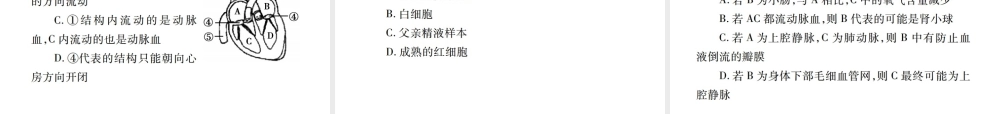 PK中考（江西专用）中考生物 专项提升突破篇 专项四 生物圈中的人课件-人教级全册生物课件