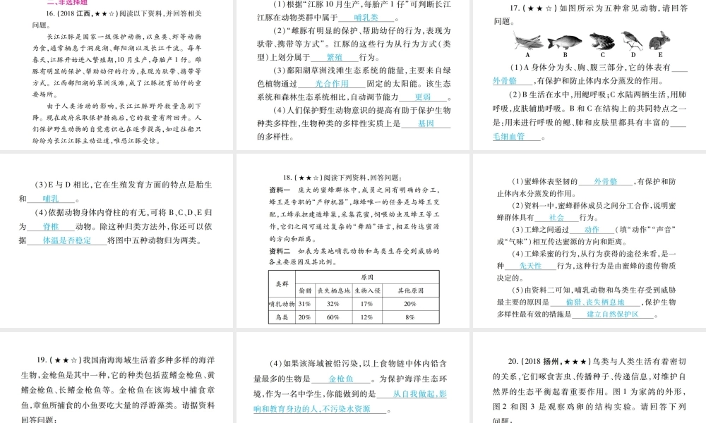PK中考（江西专用）中考生物 专项提升突破篇 专项五 生物圈中的其它生物与生物技术课件-人教级全册生物课件