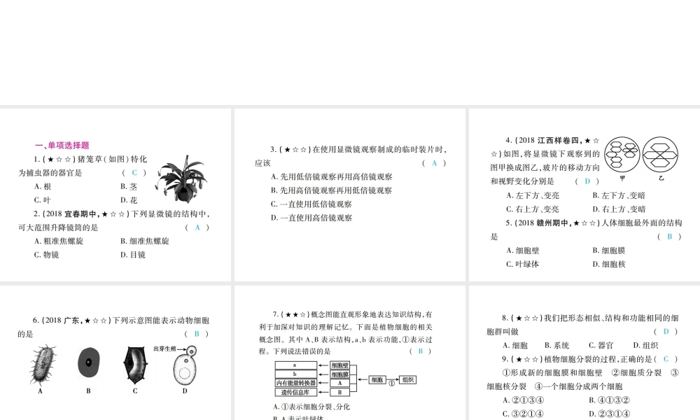 PK中考（江西专用）中考生物 专项提升突破篇 专项一 生物体的结构层次课件-人教级全册生物课件