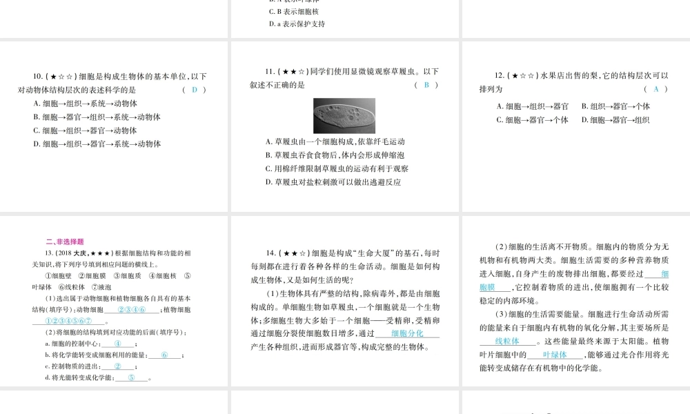 PK中考（江西专用）中考生物 专项提升突破篇 专项一 生物体的结构层次课件-人教级全册生物课件
