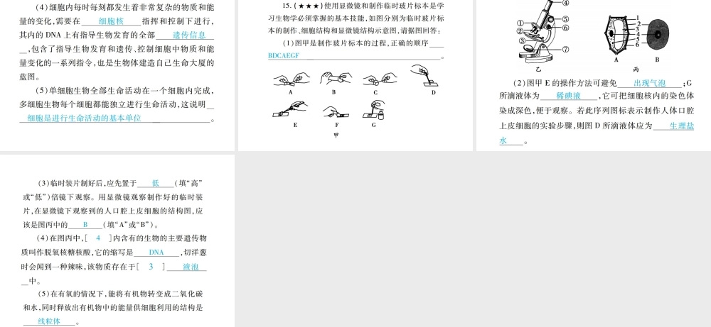 PK中考（江西专用）中考生物 专项提升突破篇 专项一 生物体的结构层次课件-人教级全册生物课件