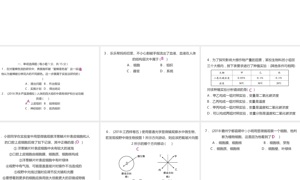 PK中考（江西专用）中考生物仿真测试卷一课件-人教版初中九年级全册生物课件