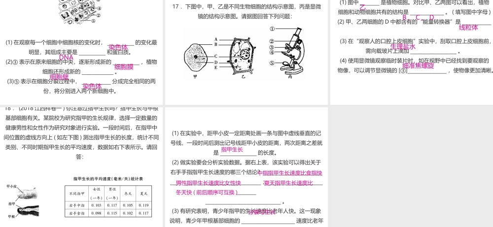 PK中考（江西专用）中考生物仿真测试卷一课件-人教版初中九年级全册生物课件