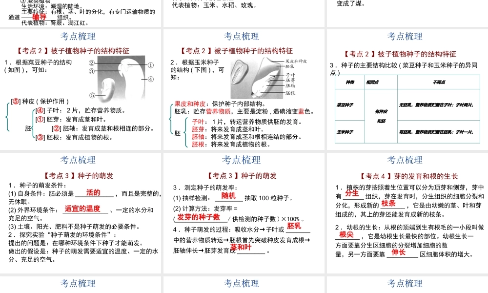 【中考宝典】（深圳地区专版）2014届中考生物 第三单元 生物圈中的绿色生物会考课件