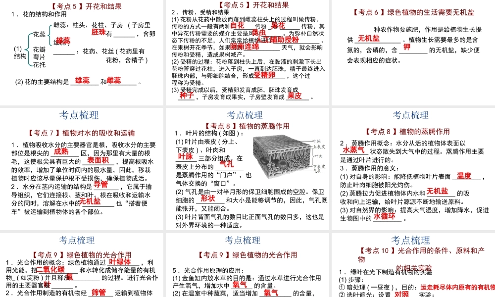 【中考宝典】（深圳地区专版）2014届中考生物 第三单元 生物圈中的绿色生物会考课件