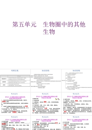【中考宝典】（深圳地区专版）2014届中考生物 第五单元 生物圈中的其他生物会考课件