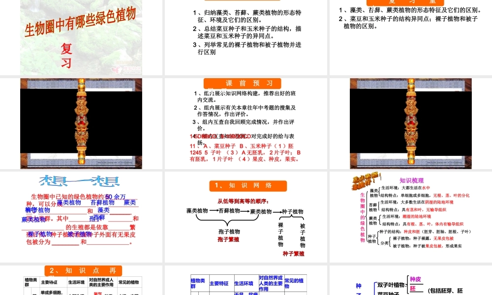 2018年七年级生物上册 第三单元 第一章 生物圈中有哪些绿色植物复习课件 （新版）新人教版