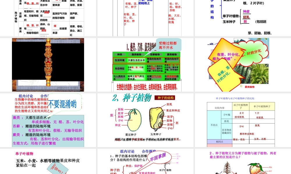 2018年七年级生物上册 第三单元 第一章 生物圈中有哪些绿色植物复习课件 （新版）新人教版