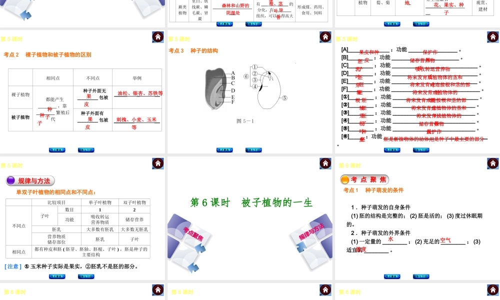 【中考复习方案】（包头）中考生物总复习 第二单元 生物圈中的绿色植物课件（考点聚焦+规律与方法） 新人教版