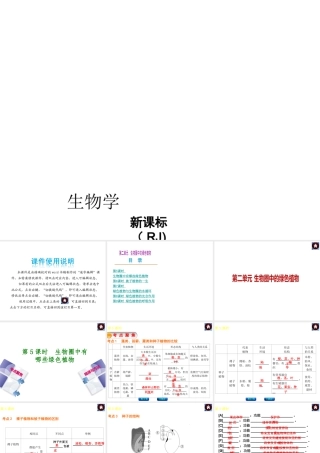 【中考复习方案】（包头）中考生物总复习 第二单元 生物圈中的绿色植物课件（考点聚焦+规律与方法） 新人教版