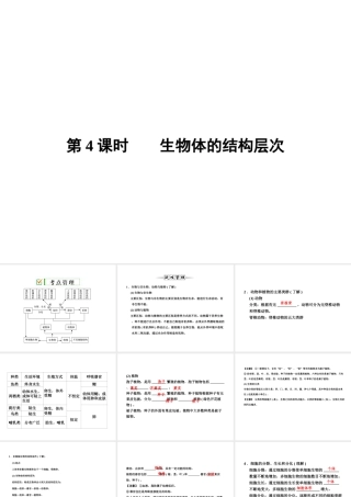 【全效学习 中考学练测】2014中考科学总复习 第4课时 生物体的结构层次（考点管理+归类探究+易错警示+限时集训）课件 新人教版