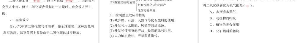 【优化课堂】2012年九年级化学 第六单元 课题3 二氧化碳和一氧化碳