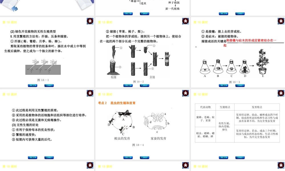 【中考复习方案】（包头）中考生物总复习 第六单元 生命的延续、发展和健康地生活课件（考点聚焦+规律与方法） 新人教版