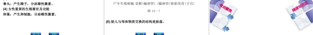 【中考复习方案】（包头）中考生物总复习 第六单元 生命的延续、发展和健康地生活课件（考点聚焦+规律与方法） 新人教版
