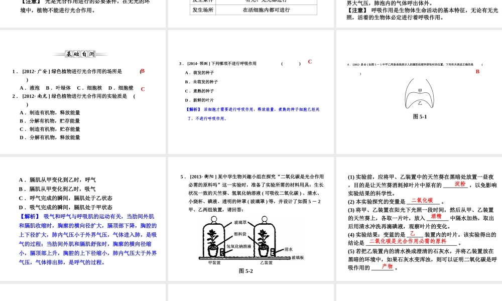 【全效学习 中考学练测】2014中考科学总复习 第5课时 光合作用和呼吸作用（考点管理+归类探究+易错警示+限时集训）课件 新人教版